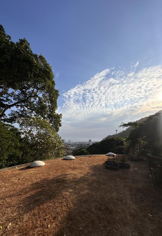 Casa em Condomínio de 4 quartos no Barra da Tijuca